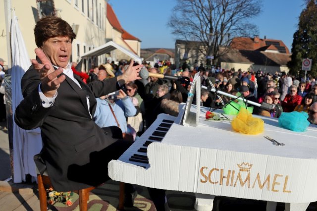 Narrentreiben 2025 (Fotos Rochus Hetzendorfer)